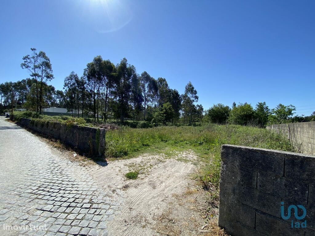 Terreno em Viana do Castelo de 6015,00 m2