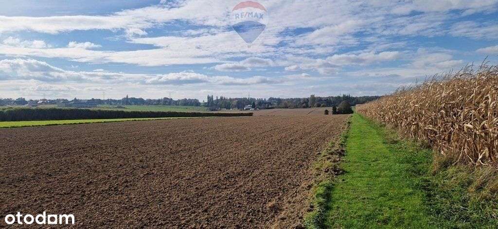 Działka Mn-rolna- rekreacja - Pełny obrazek: 4/7