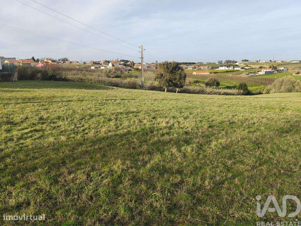 Terreno Agrícola em Cela - Grande imagem: 4/13