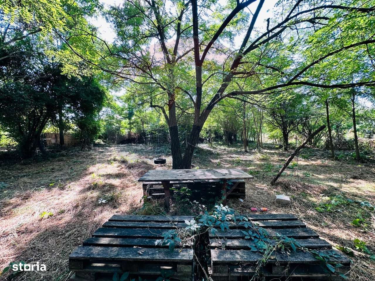 Teren intravilan 1500mp in Livedea, Ialomita - Imagine principală: 5/17