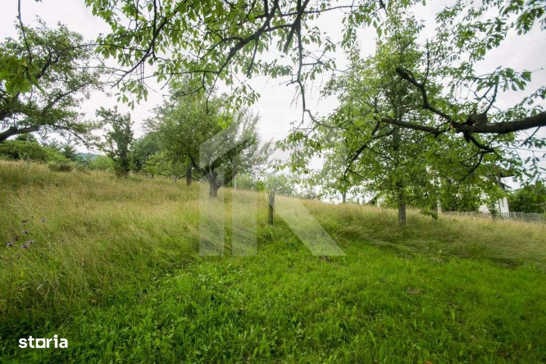 Teren investitie Bran - Predelut, la 2 km de Castelul Bran - Imagine principală: 3/10