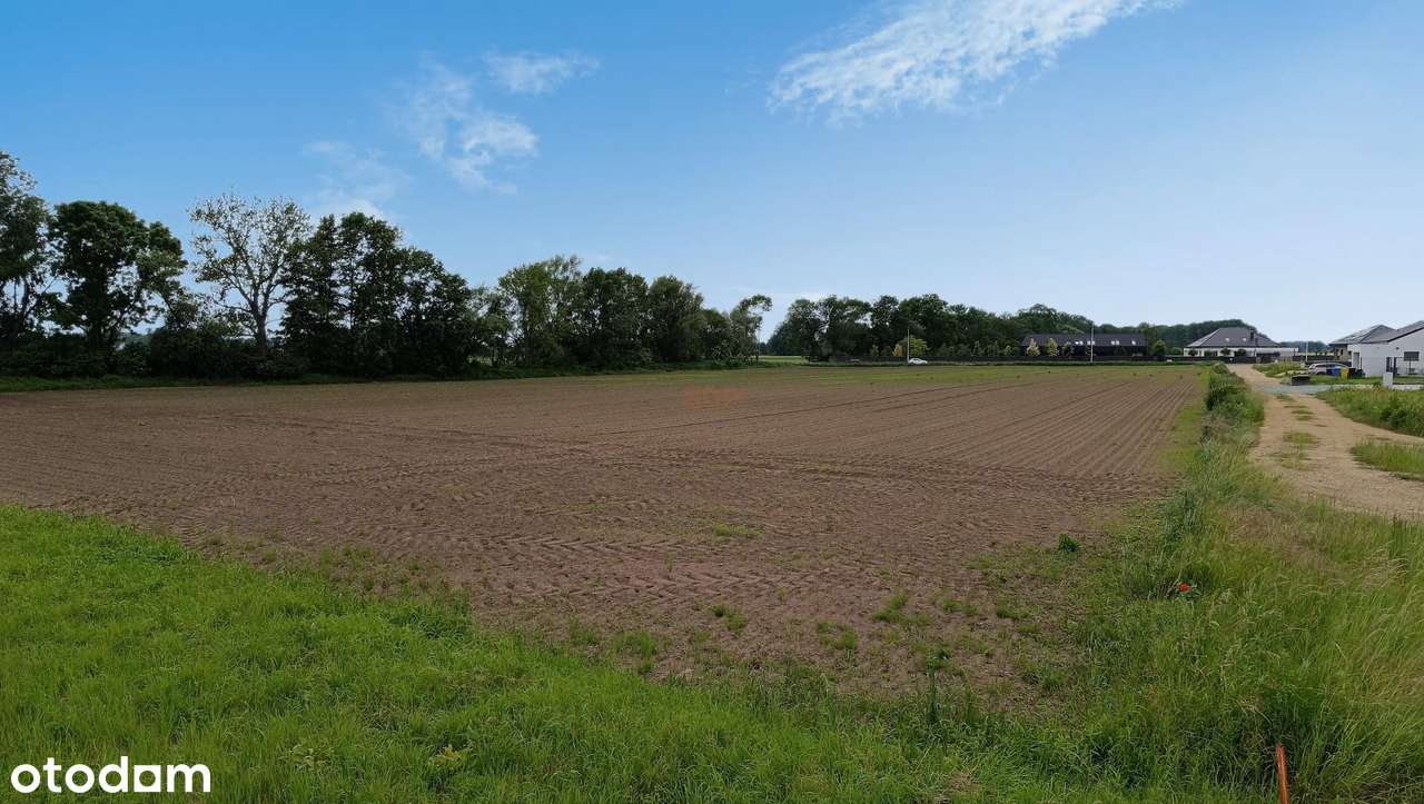 Działka budowlana 9000 m2, mpzp - Pełny obrazek: 4/8