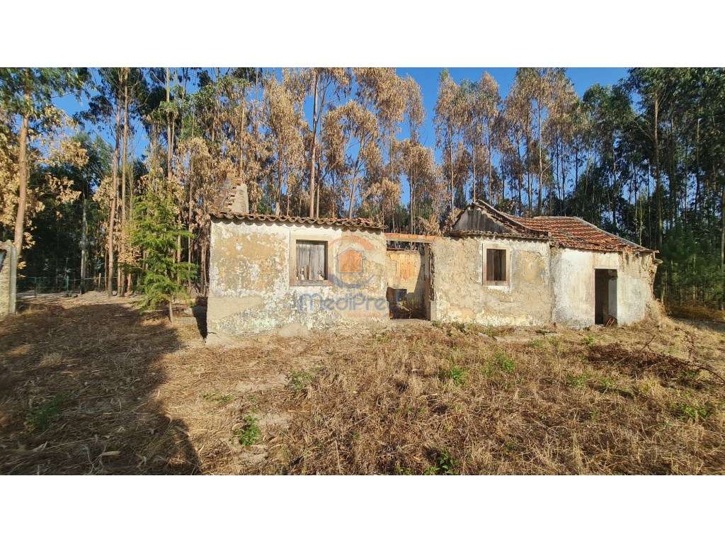 Casa e Adega com 4.200 m2 de terreno | Maxial, Torres Vedras - Grande imagem: 4/7