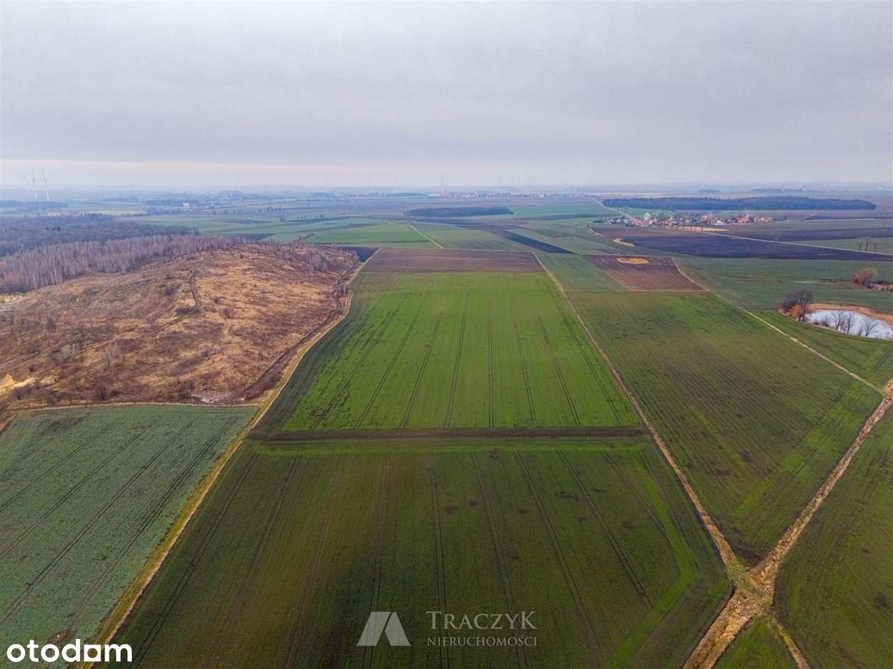 Rola w dobrej cenie, gm. Strzegom - Pełny obrazek: 4/14