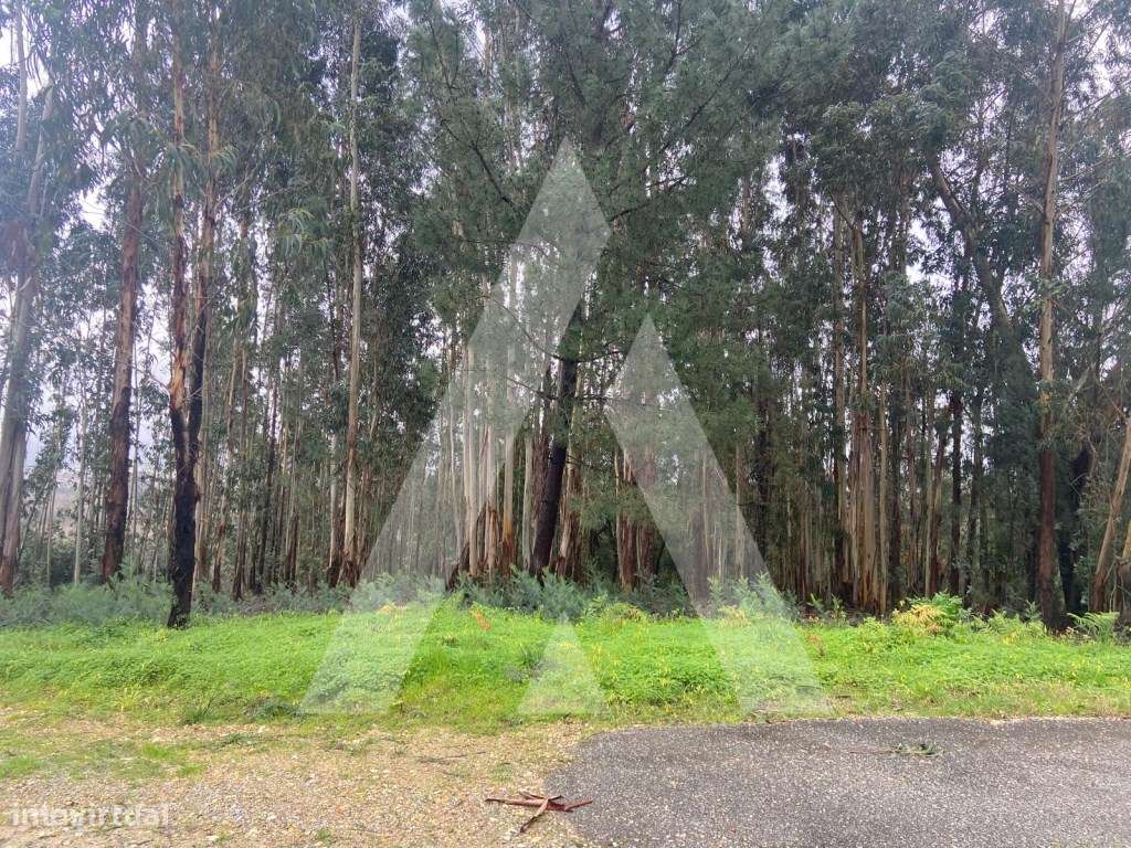 Terreno em Sangalhos - Grande imagem: 5/7