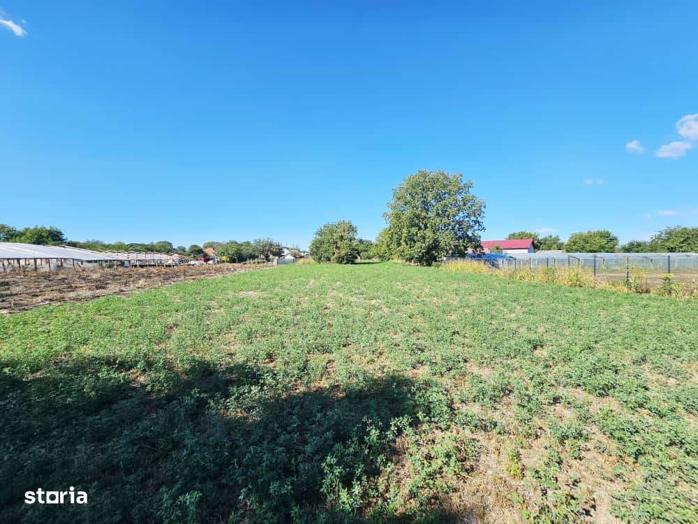 Teren intravilan 1.585 mp, cu utilități la hotar –Gherghița–Ungureni-5