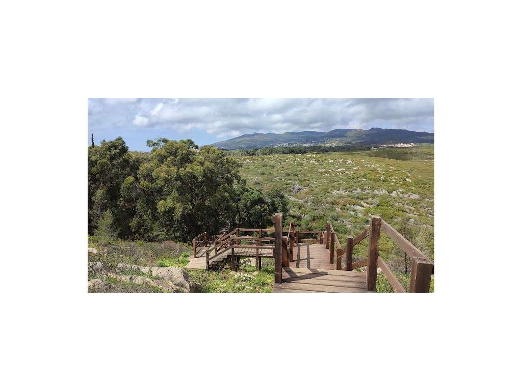 Moradia V4 Cascais NOVO-35