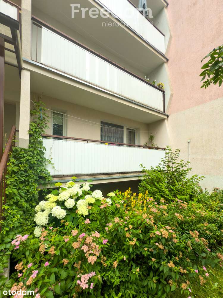 Mieszkanie z potencjałem na parterze - Pełny obrazek: 2/17