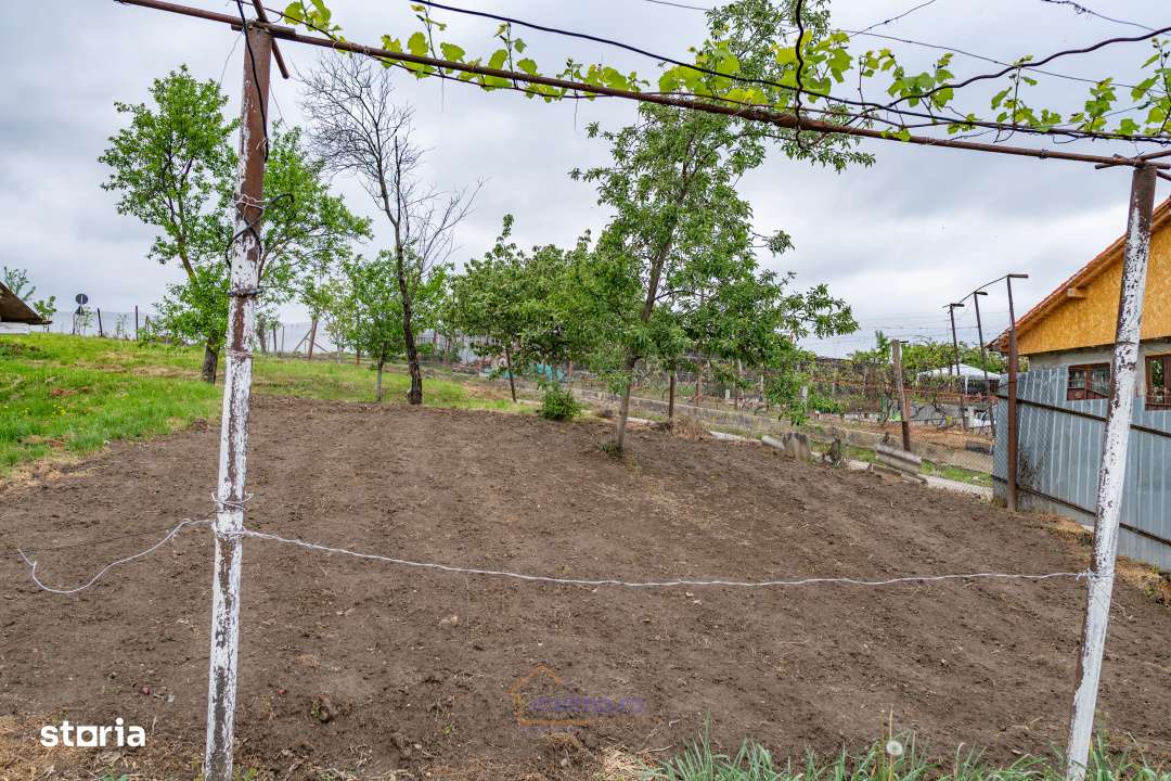 Casa din chirpici, bucatarie de vara si 1.34 ha de teren, Ardeoani-17