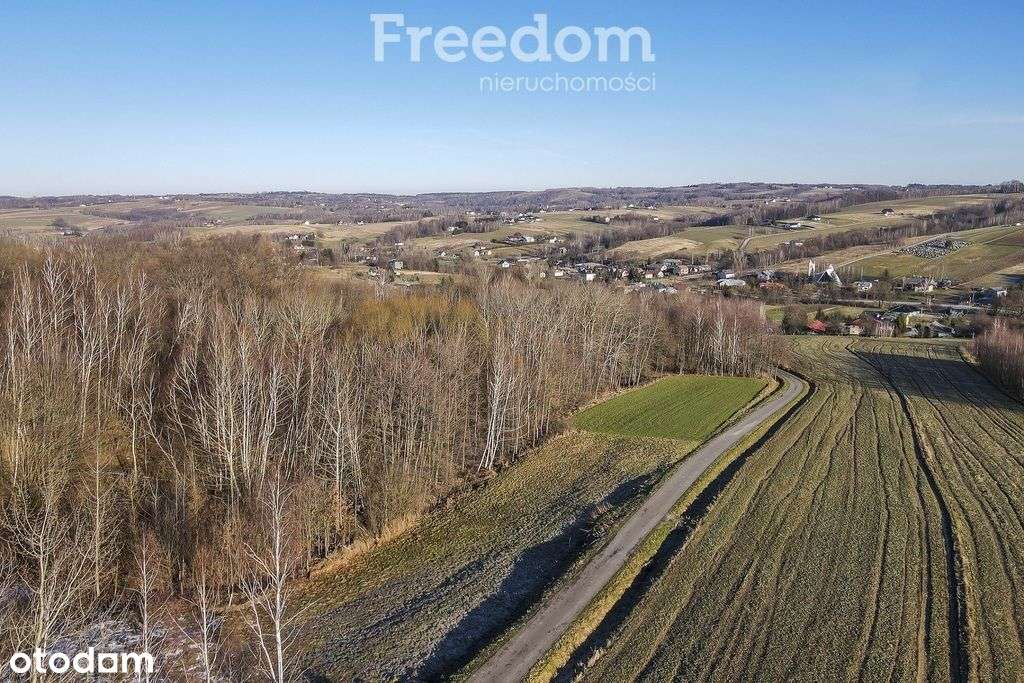 Zadrzewiona działka z widokiem – Błędowa Tycz-10