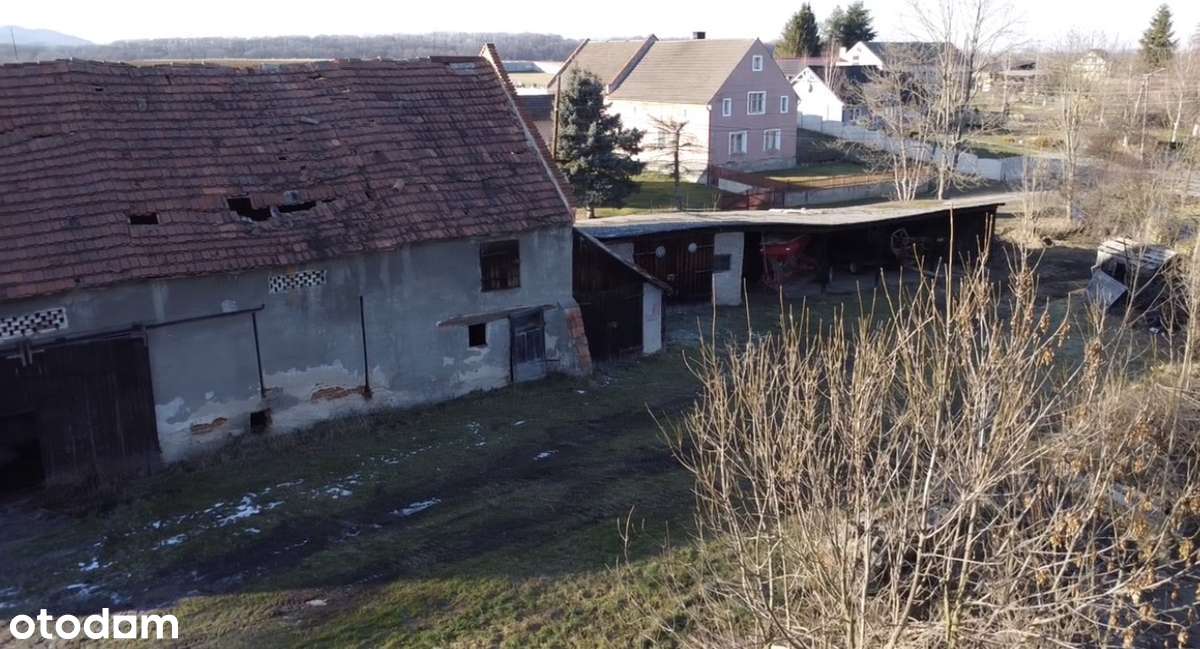 Sosnowa ,Dom wolnostojący + Gospodarstwo-5