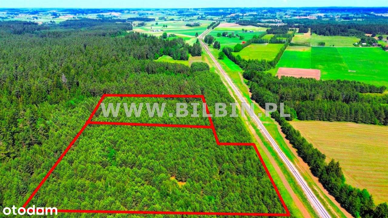 Działka leśna w Nowej Wsi. - Pełny obrazek: 2/3