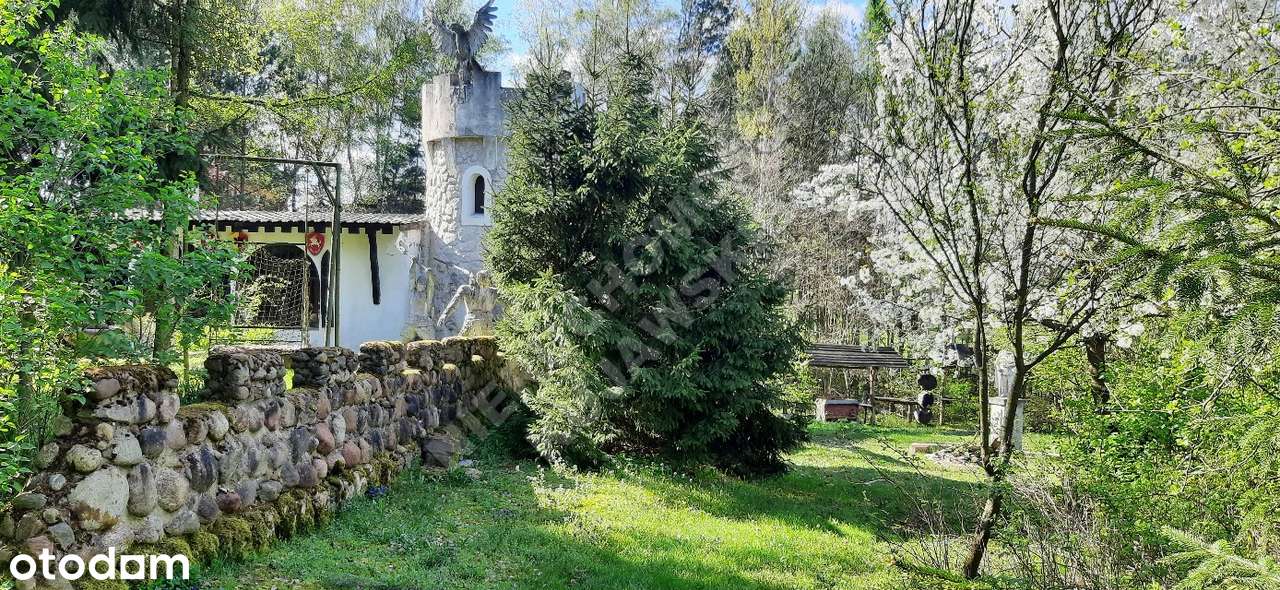 Nieruchomość letniskowo - rekreacyjna 1,1ha, budynki 130m2, staw 730m2 - Pełny obrazek: 2/11