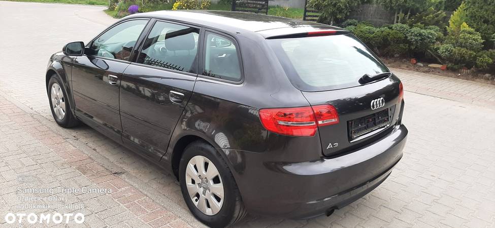 Audi A3 1.6 TDI DPF Ambition - 3