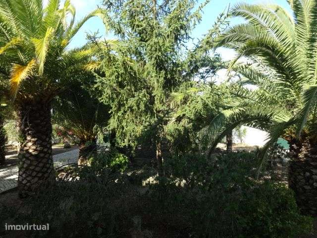 Quinta T/7 Cartaxo-24