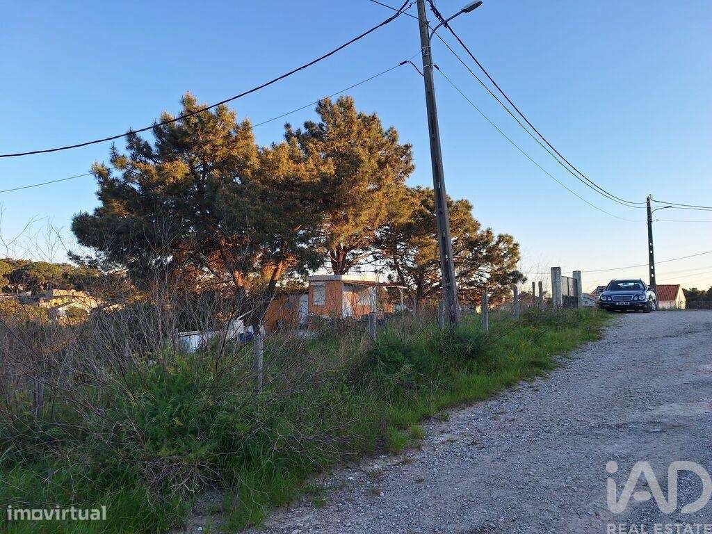 Terreno Agrícola em Caparica e Trafaria - Grande imagem: 2/12