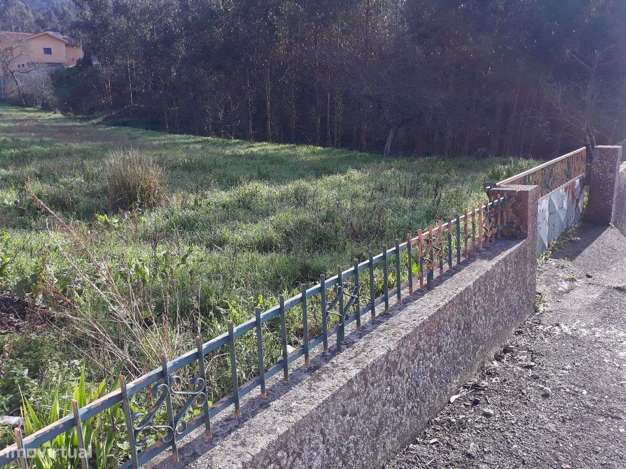 Terreno Vale da Sapa - Albergaria a Velha-2