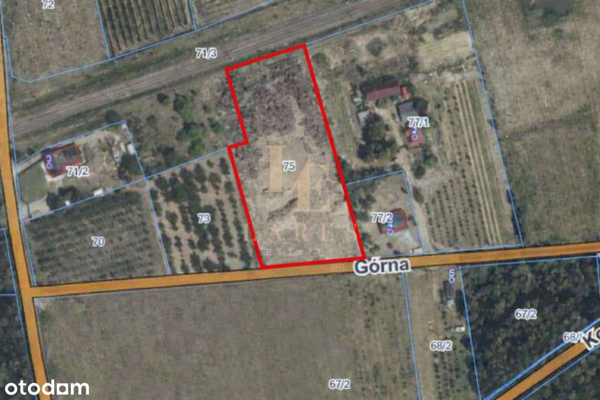 Działka 6 800 m² z Mpzp | Jeżewice k. Tarczyna-1