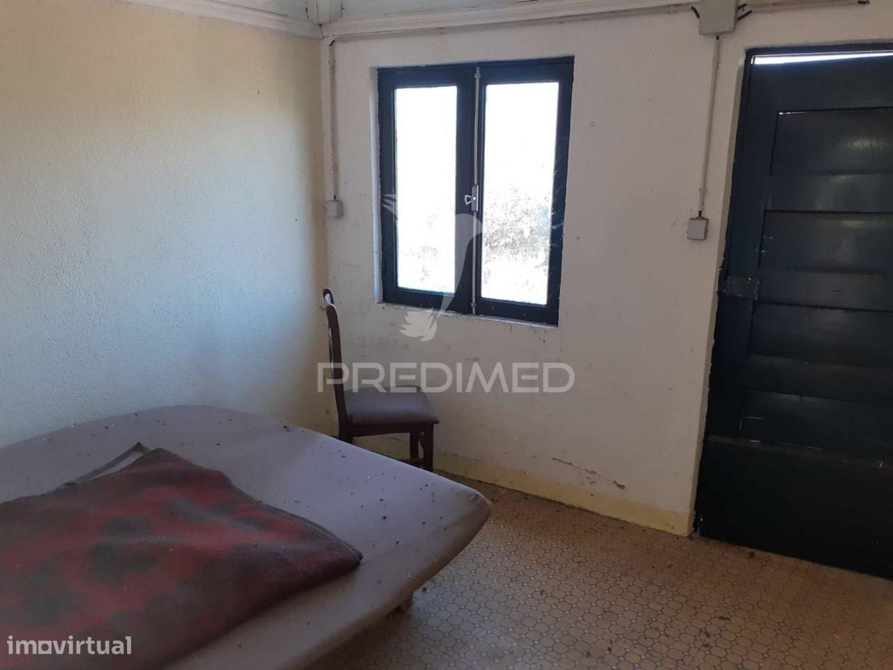 Quinta com mais 4 hectares na Serra da Aldeia Nova - Grande imagem: 5/23