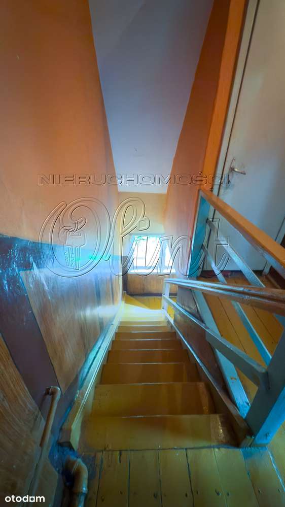 Okazja! Bliźniak z potencjałem-8