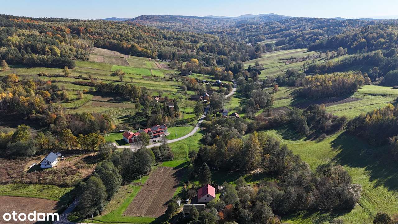 Pietrusza Wola – działka z WZ na 2 domy, media na działce-6