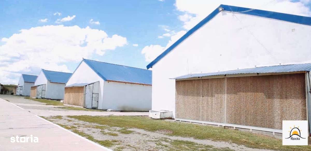 VAND FERMA ZOOTEHNICA 4 HALE a cate 780MP sat Maeriste jud.Salaj - Imagine principală: 4/15