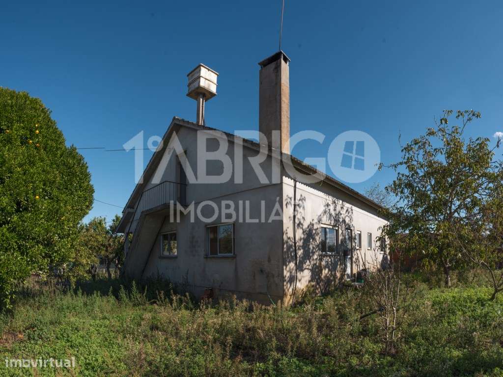 Moradia T3, rés do chão Coucinheira - Grande imagem: 4/18