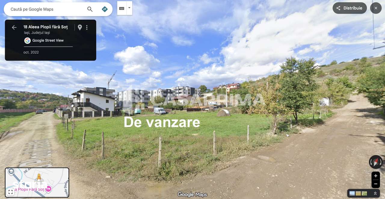 Teren Bucium 100 m Plopii Fără Soț / Ideal case sau blocuri 1230 mp!-4