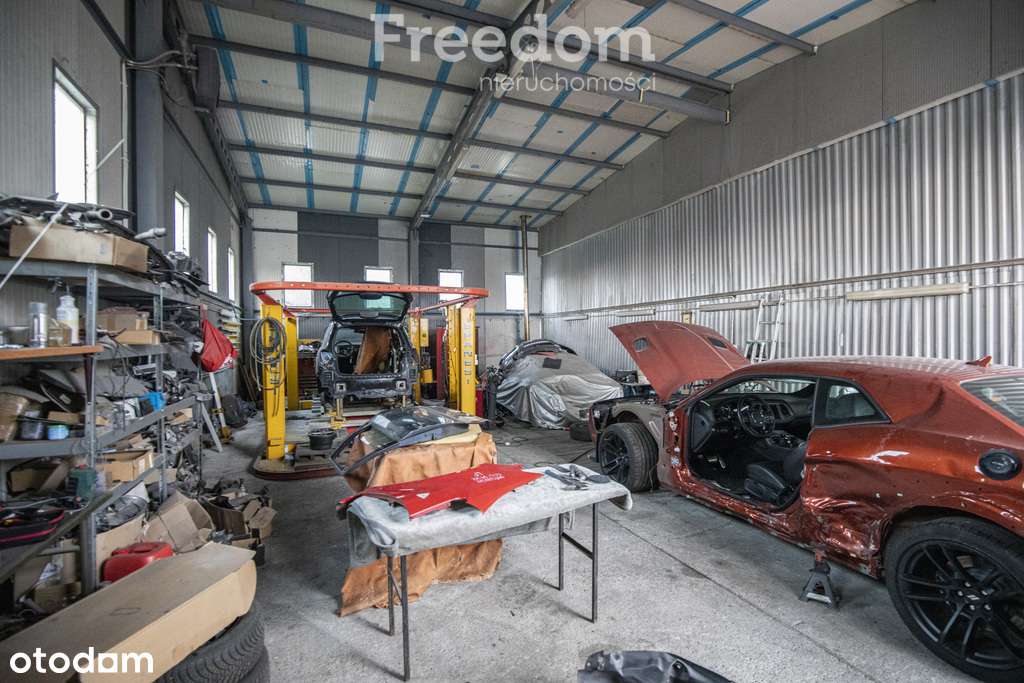 Nieruchomość inwestycyjna na sprzedaż- Zielęcice - Pełny obrazek: 5/19