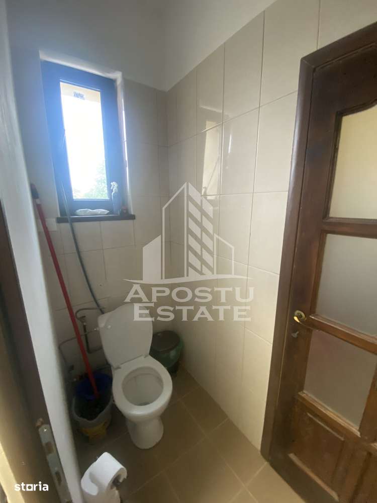 Casa în Dumbrăvița cu teren de 3039 mp și Front Stradal de 40 ml - Imagine principală: 2/12