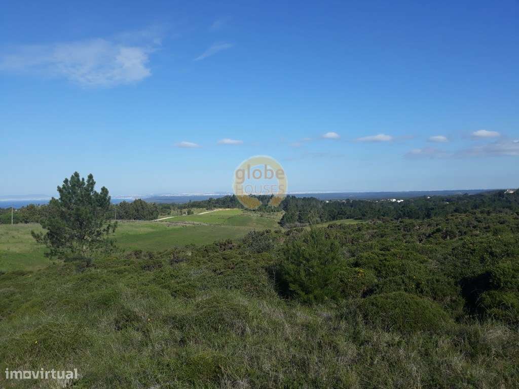 Terreno com vista desafogada - Grande imagem: 2/8