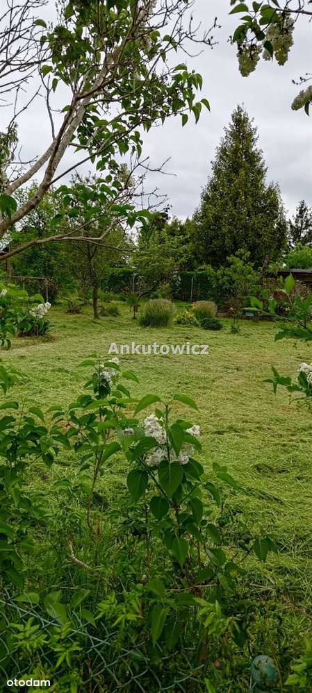 Działka ROD Barbara-5