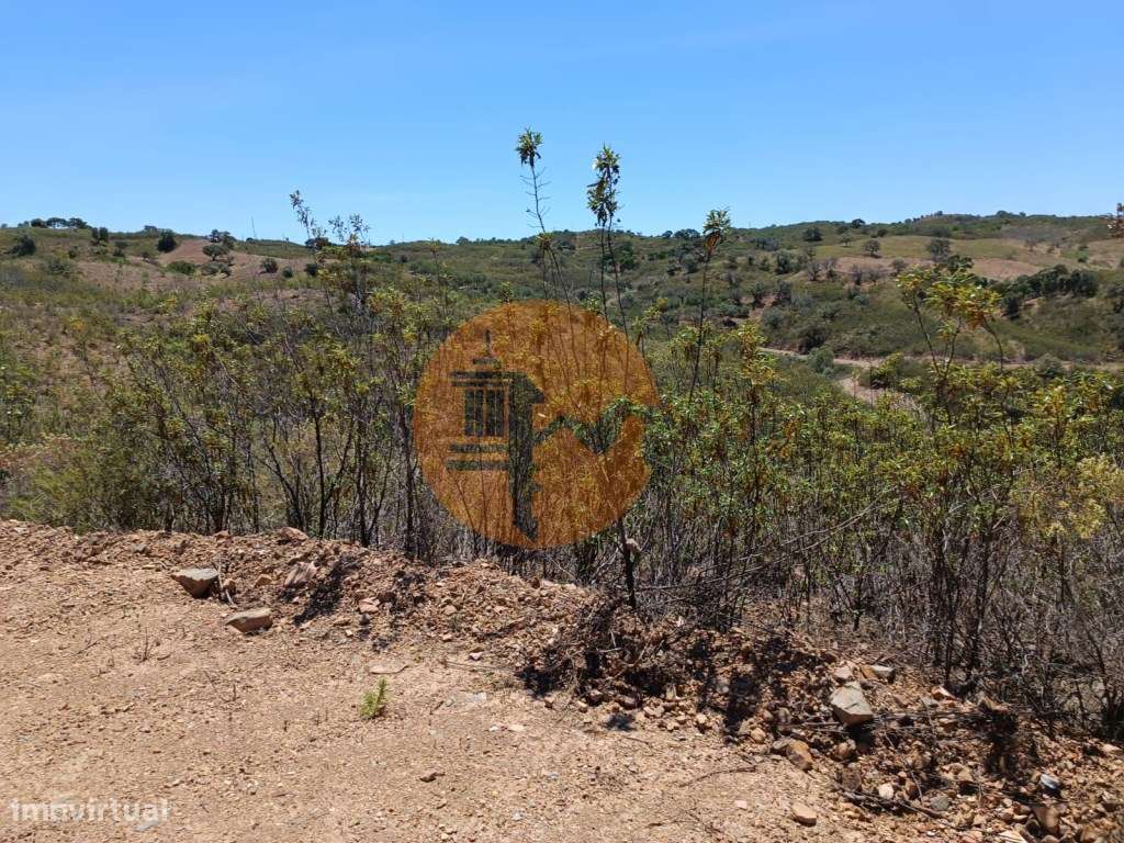 TERRENO COM 10.160 M2 - PRÓXIMO A CORTE DO GAGO - CASTRO MARIM - AL... - Grande imagem: 3/33