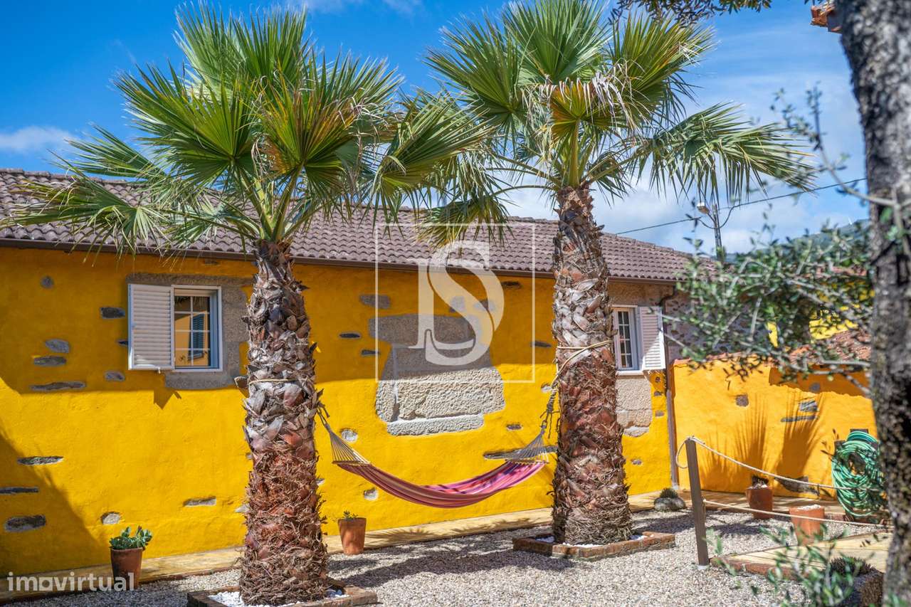 Quinta T8, Viseu, Tondela, Castelões - Grande imagem: 4/30