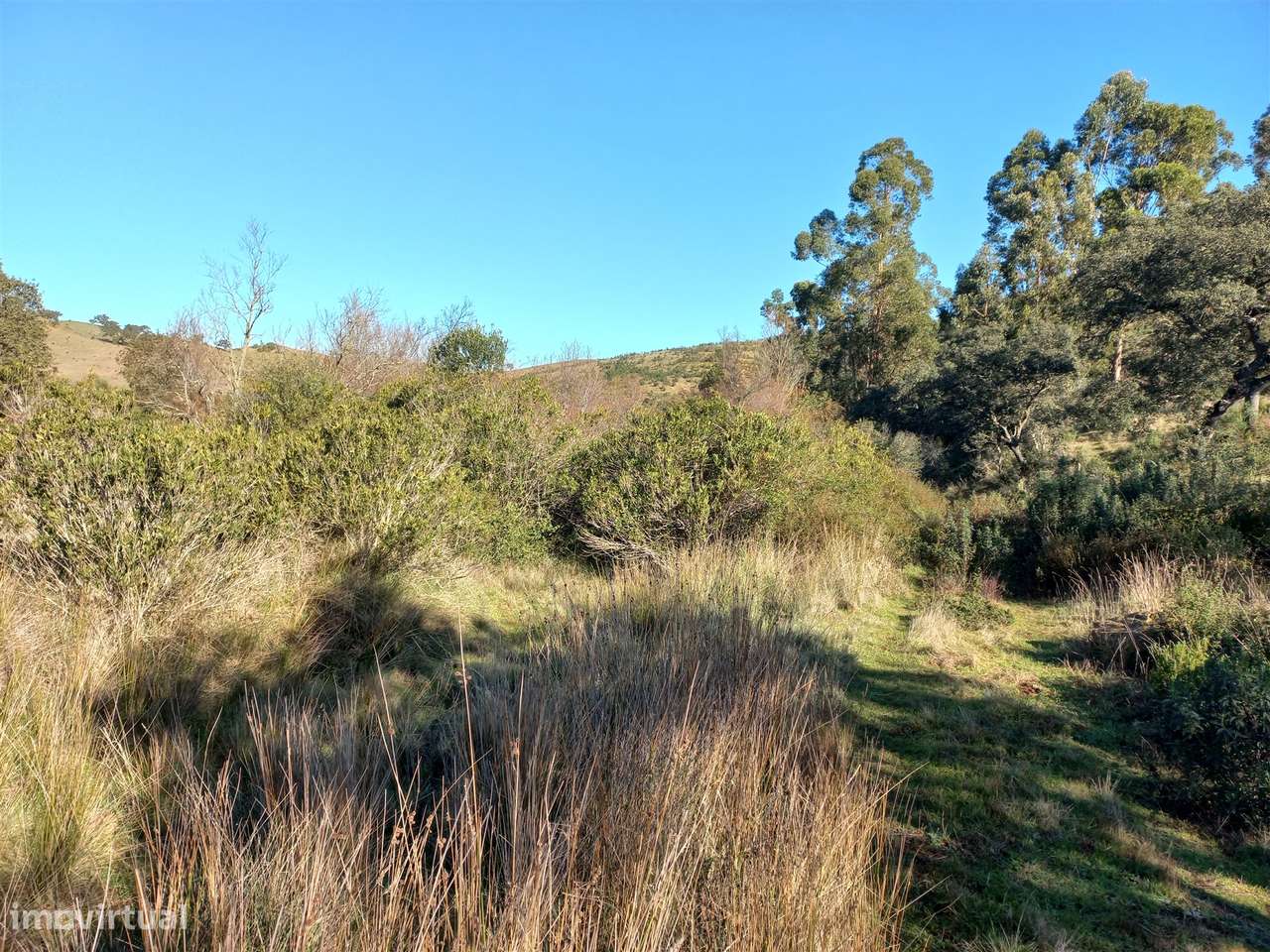 Terreno Rústico  Venda em Santa Clara-a-Nova e Gomes Aires,Almodôvar-5