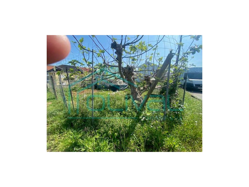 Terreno No Bairro do Estacal SEM ALVARÁ DE LOTEAMENTO-9