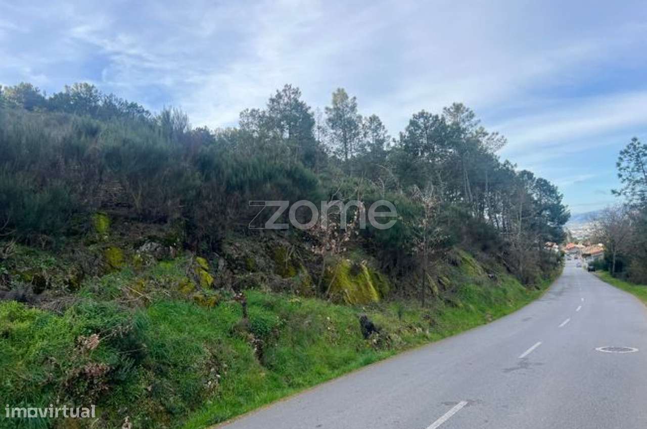 Terreno em Zona Florestal – Ideal para Cultivo ou Caravana - Grande imagem: 5/9