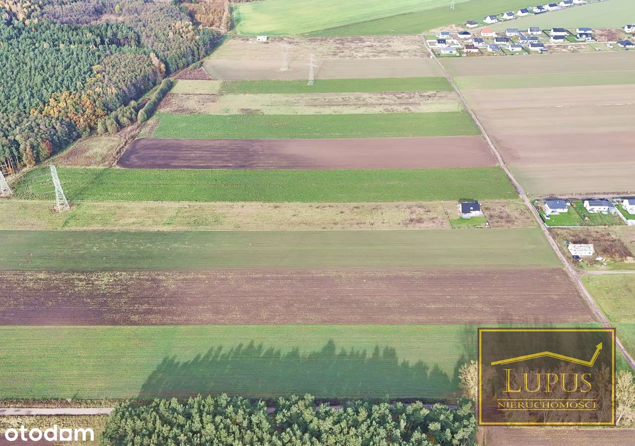 Działki budowlane w Grzędzicach - Pełny obrazek: 4/10