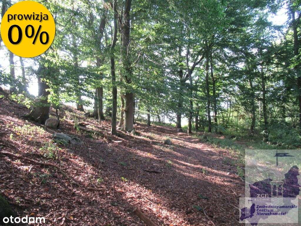 Działka nad jeziorem Woświn-10