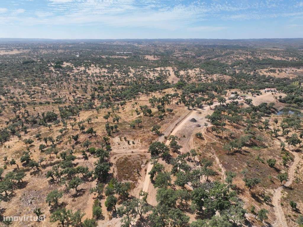 HERDADE COM 100 HECTARES E BASTANTE ARBORIZAÇÃO-52