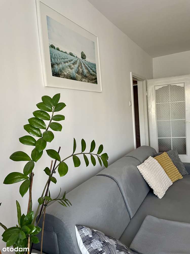 37 m² | Listopadowa | balkon | 2 piętro | parking – pohled 5