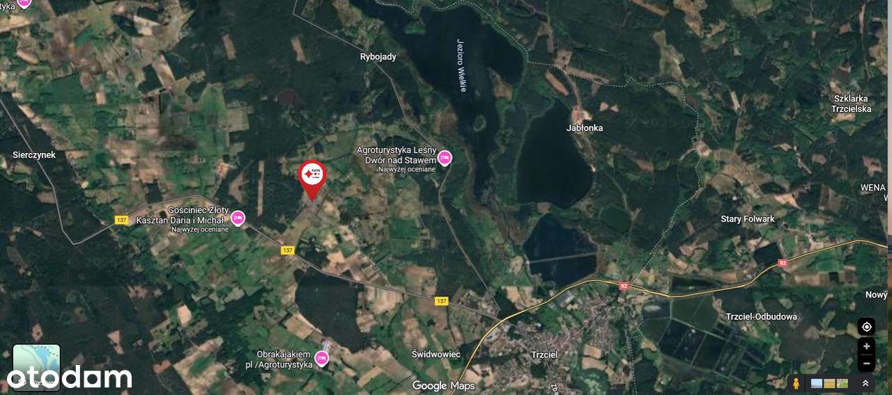 Działka z WZ wśród pól i lasów, blisko zjazd A2 w Trzcielu - Pełny obrazek: 5/11