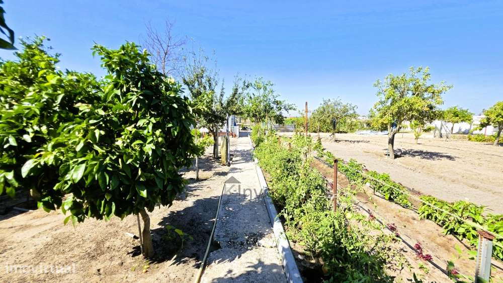 Quinta  com Moradia T6, Casa T2, Piscina Aquecida -  Salvaterra de Mag-49