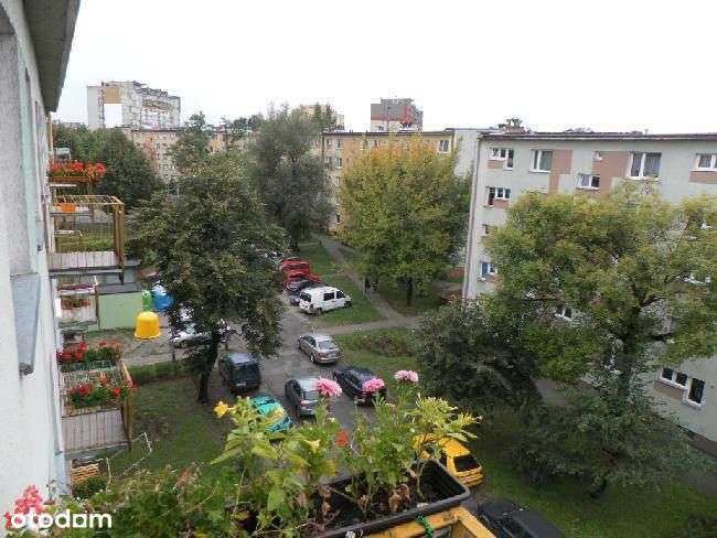 Powstańców Śląskich - Dobra Cena!-7