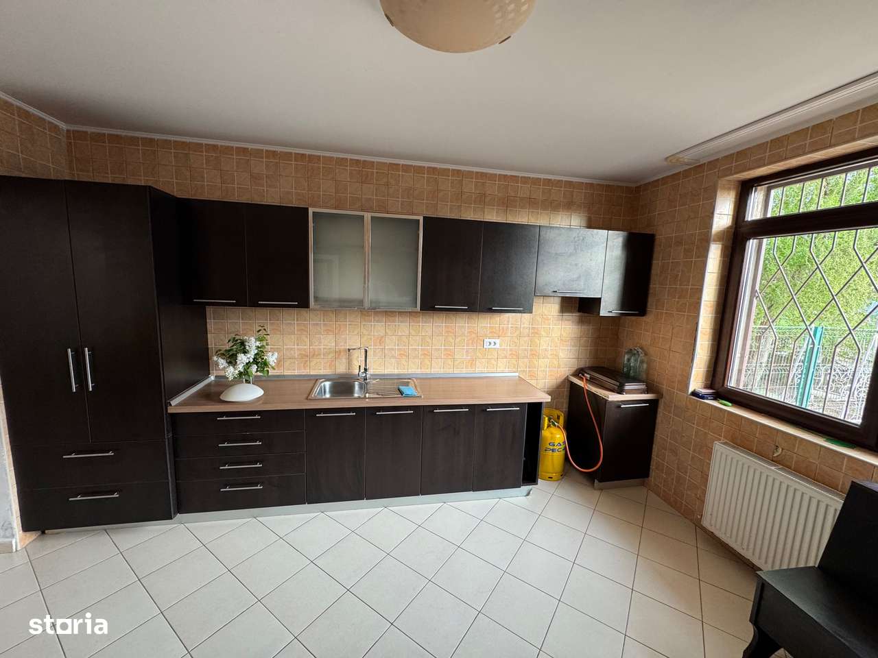 Costinesti Traian Vuia-6