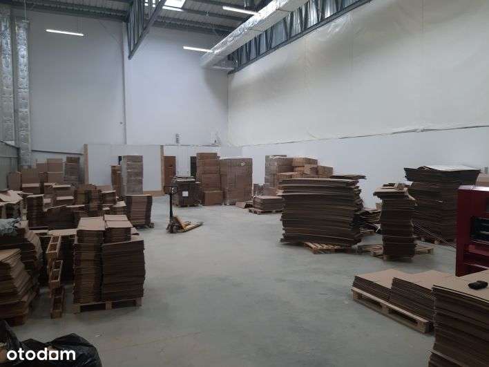 Nowa hala 390 m2 Rzeszów ul. Krakowska