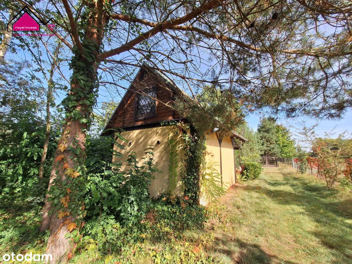 Dwa domki letniskowe nad jeziorem - Pełny obrazek: 5/20