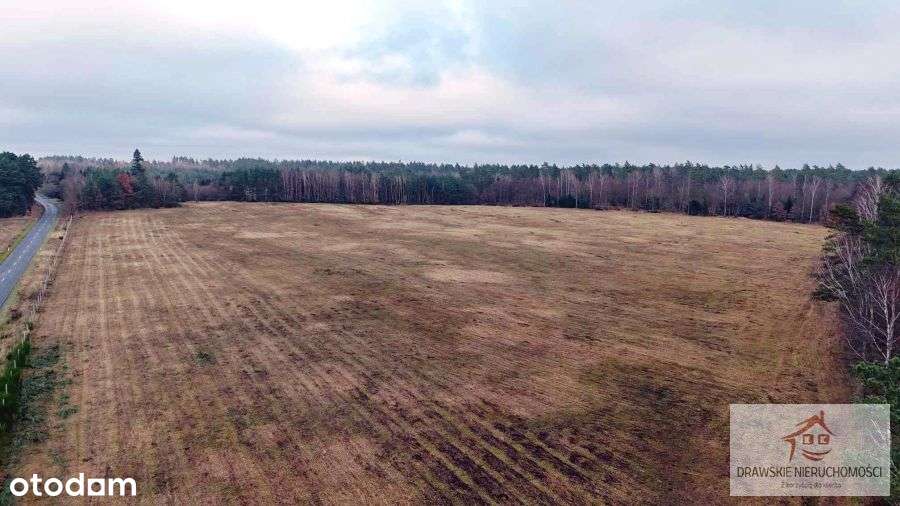 Dwie działki rolne, 25 ha w Pepłówku - Pełny obrazek: 5/13