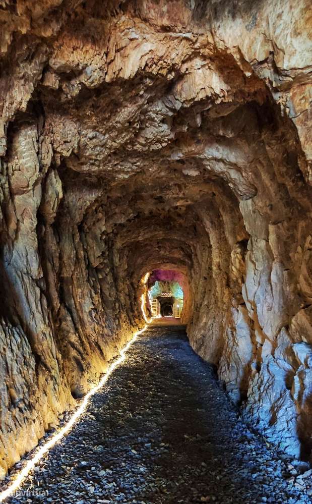 Quinta 5.3 ha, Covilhã-50