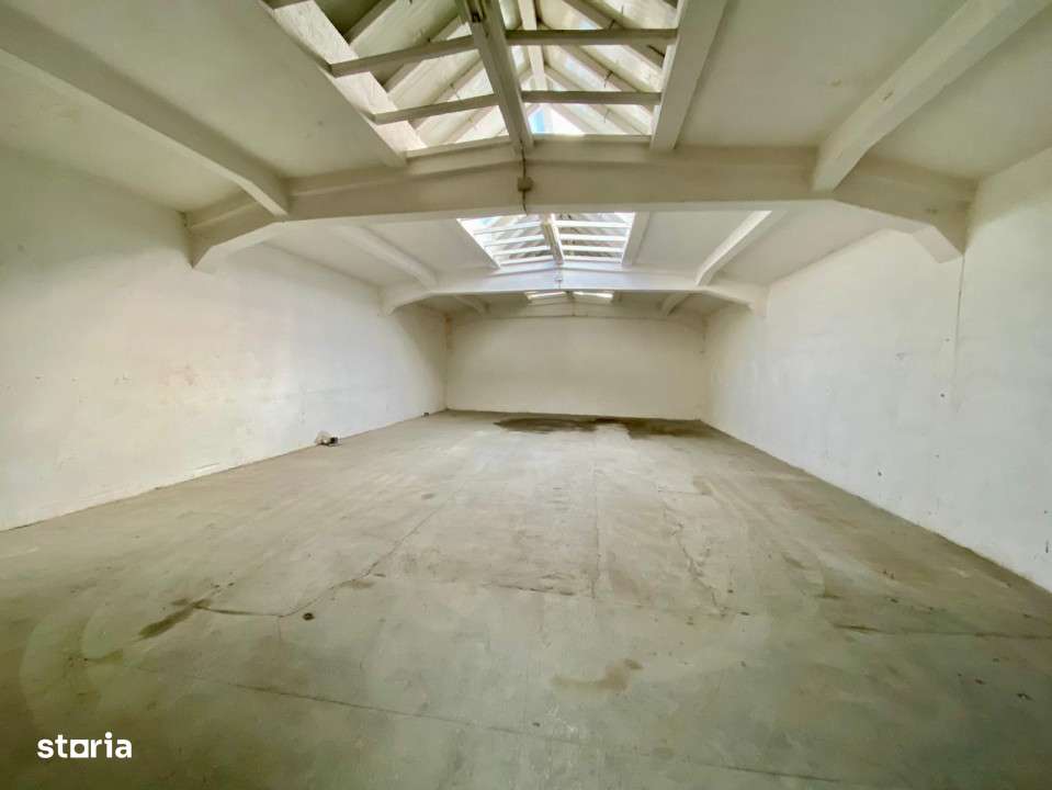 Hale cu suprafete cuprinse intre 100 mp si 500 mp in Cisnadie - Imagine principală: 4/9